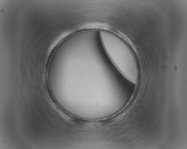 X0000085251277200703090938