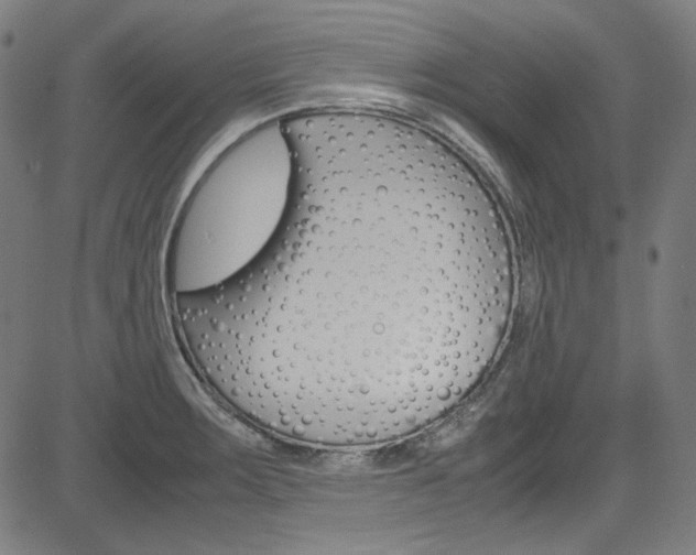 X0000085251283200703090938