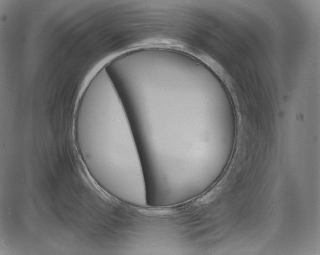 X0000085251296200703090938