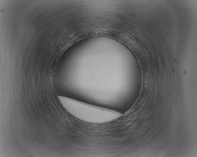X0000085251298200703090937