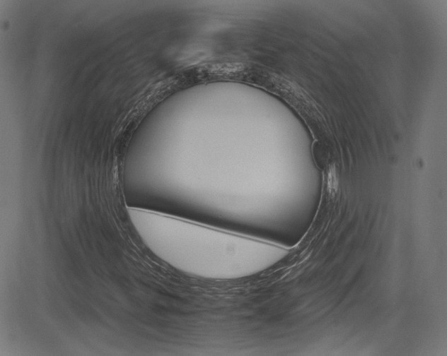 X0000085251299200703090937