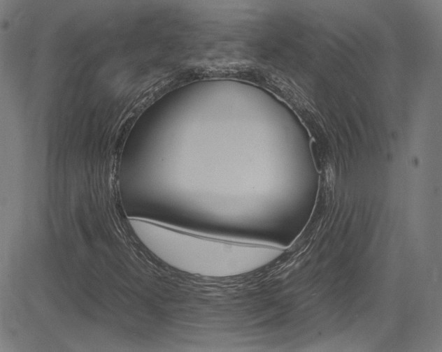 X0000085251300200703090937
