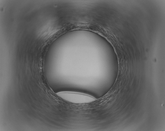 X0000085251301200703090937