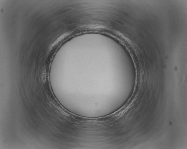X0000085251306200703090937