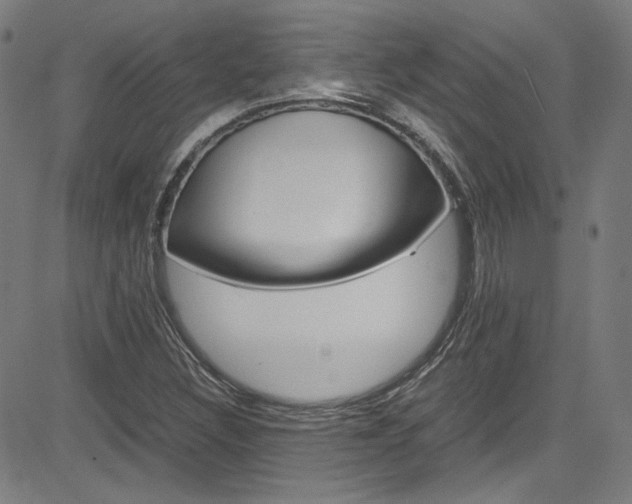 X0000085251308200703090937