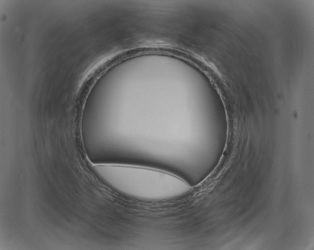 X0000085251311200703090937