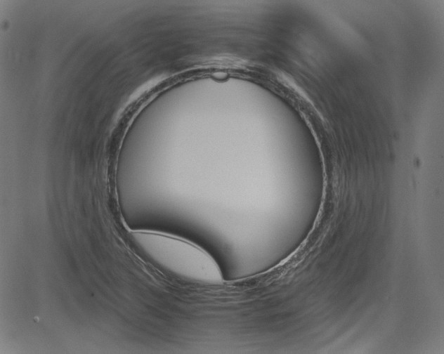 X0000085251315200703090937