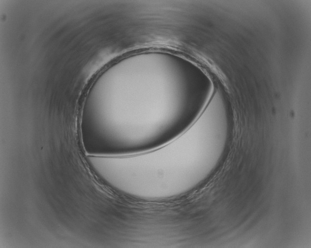 X0000085251316200703090937