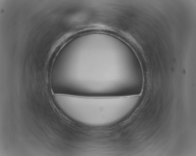 X0000085251318200703090937