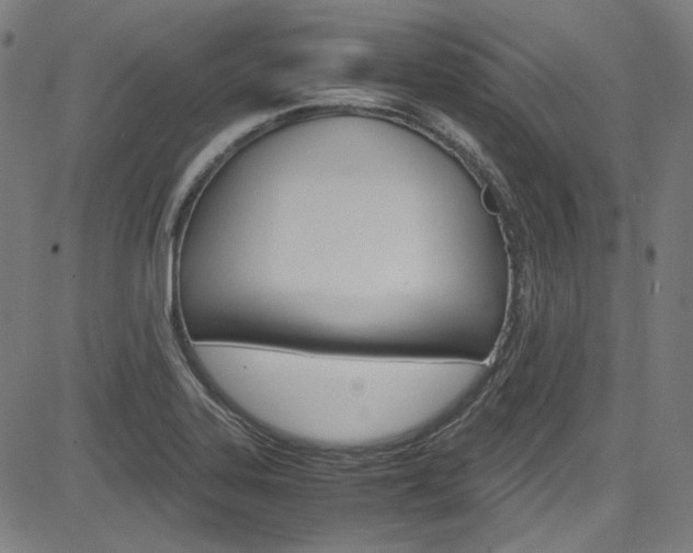 X0000085251323200703090937