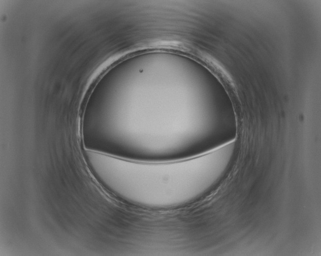 X0000085251324200703090937