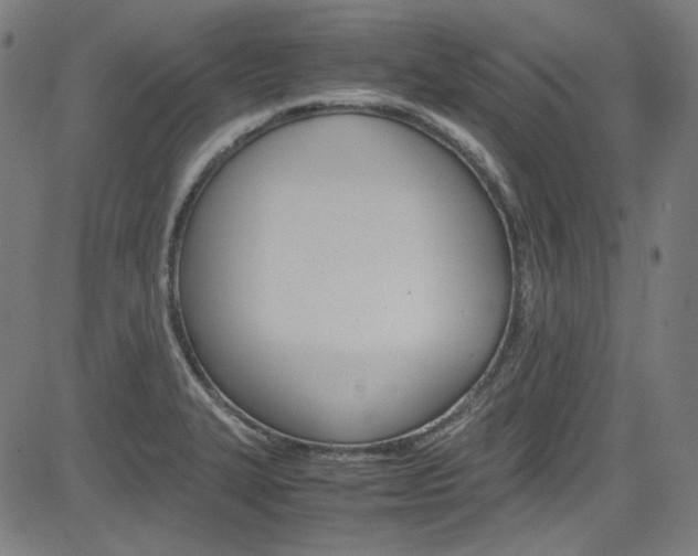 X0000085251327200703090938