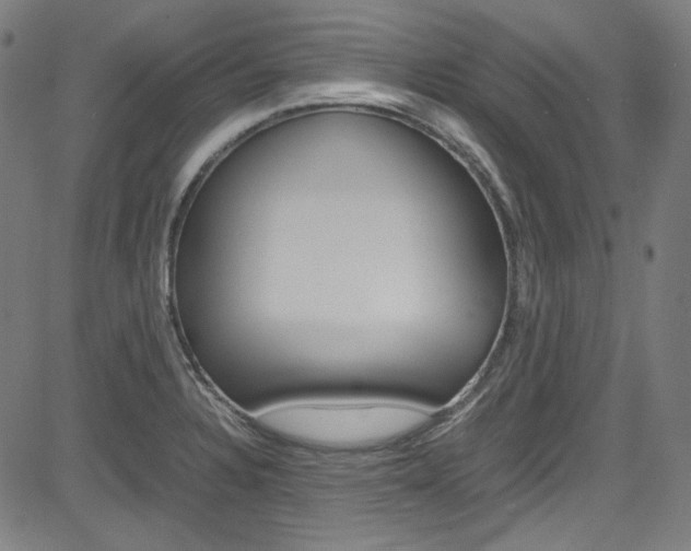 X0000085251328200703090938