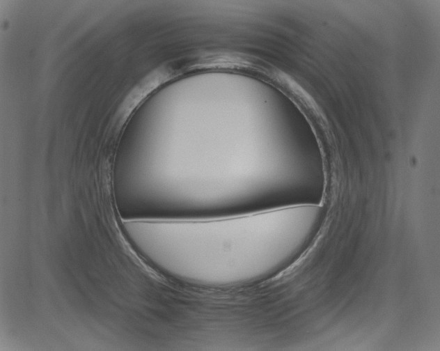 X0000085251329200703090938