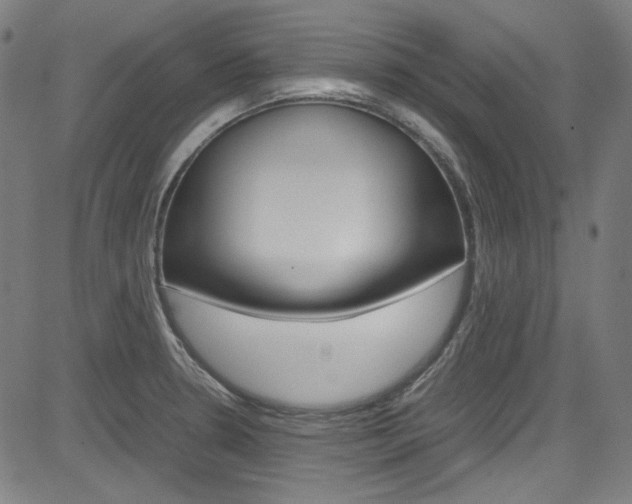 X0000085251330200703090938