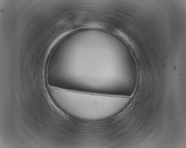 X0000085251331200703090938