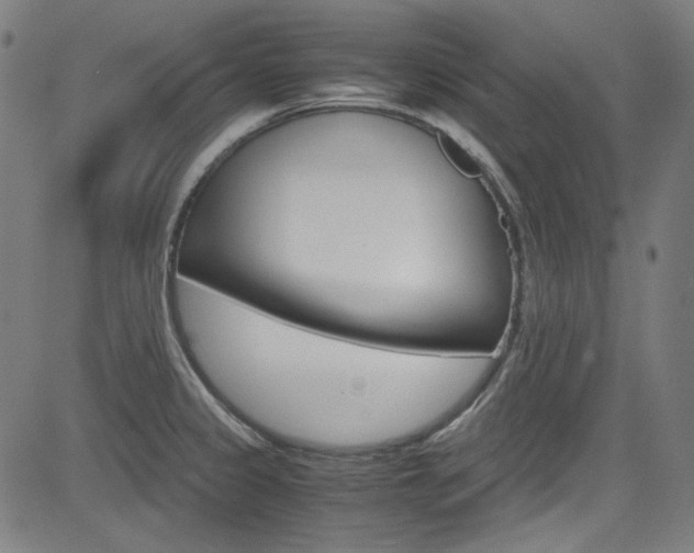 X0000085251333200703090938