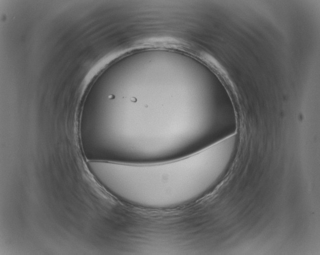 X0000085251336200703090938