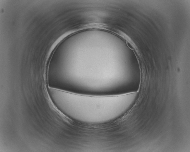 X0000085251339200703090938