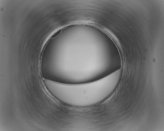 X0000085251340200703090938