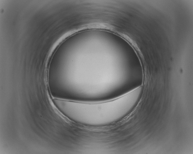 X0000085251342200703090938