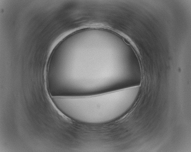 X0000085251343200703090938
