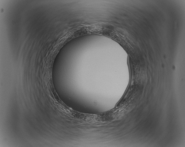 X0000085251345200703090937