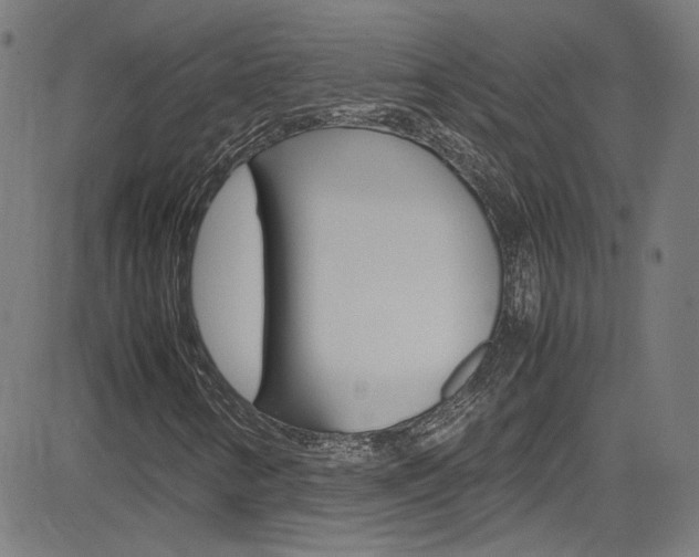 X0000085251346200703090937