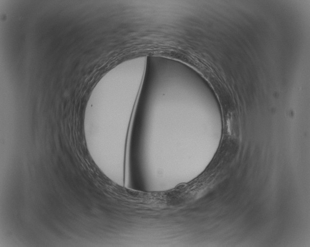 X0000085251347200703090937