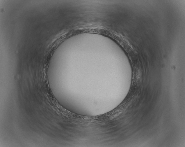 X0000085251350200703090937