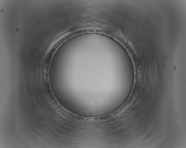 X0000085251352200703090937