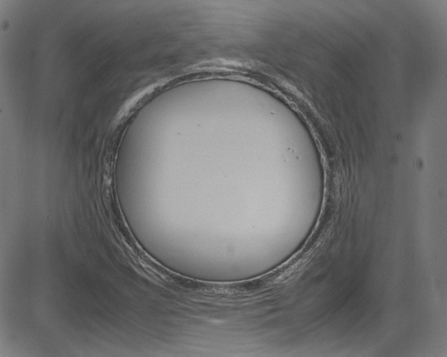 X0000085251355200703090937