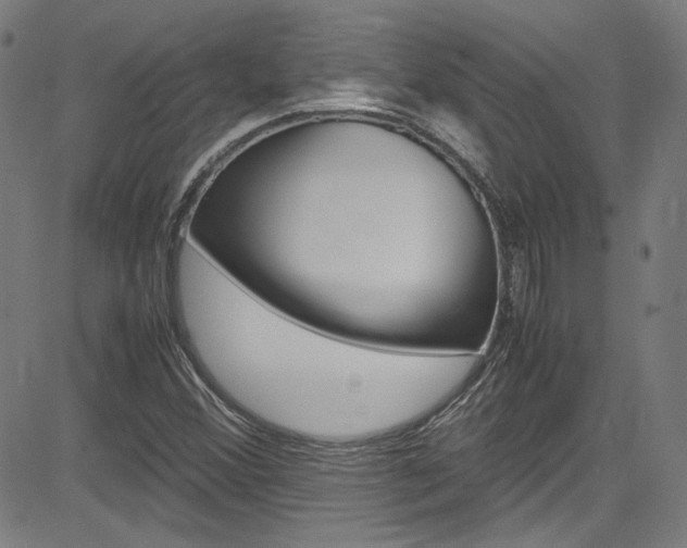 X0000085251356200703090937