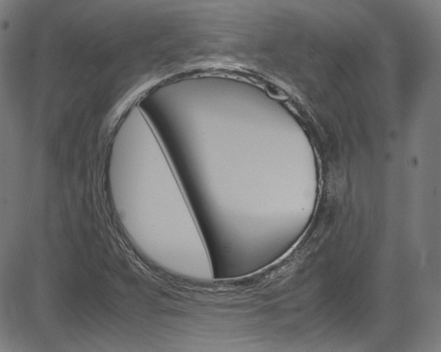 X0000085251359200703090937