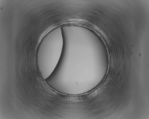 X0000085251362200703090937