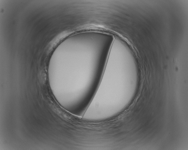 X0000085251363200703090937