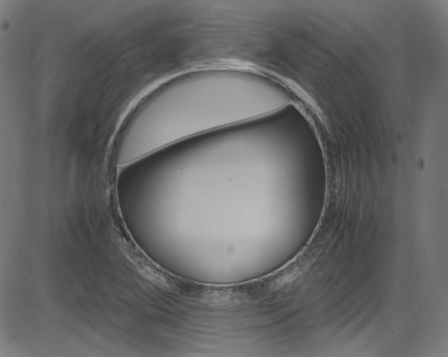X0000085251364200703090937