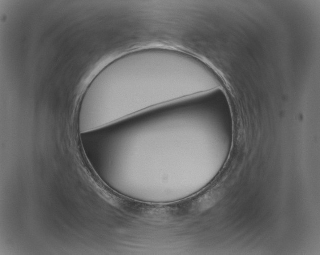 X0000085251367200703090937