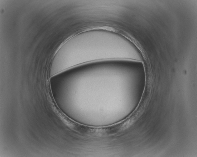 X0000085251377200703090937