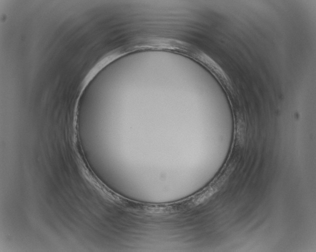 X0000085251378200703090936