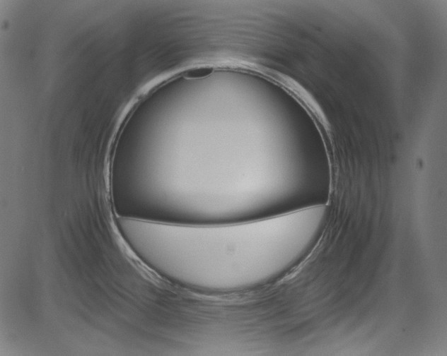 X0000085251388200703090936