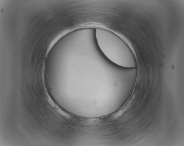 X0000085251390200703090936