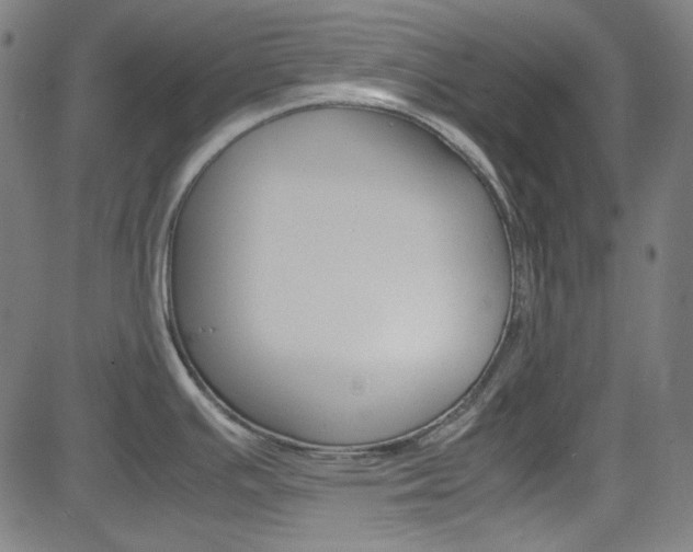 X0000085251391200703090936
