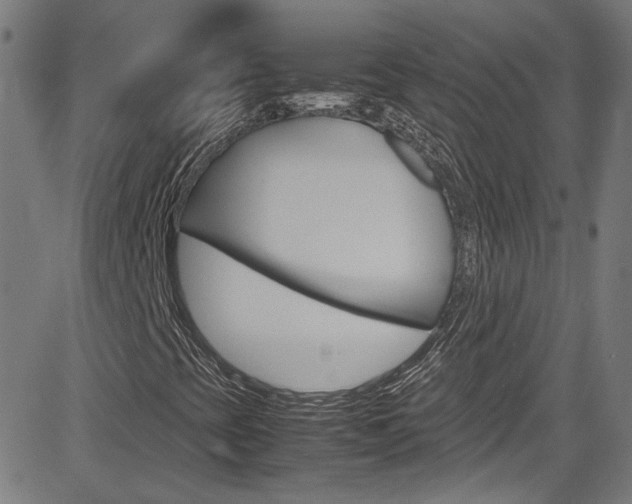 X0000085251393200703090935