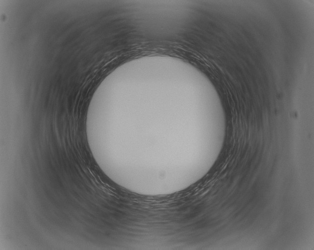 X0000085251394200703090935