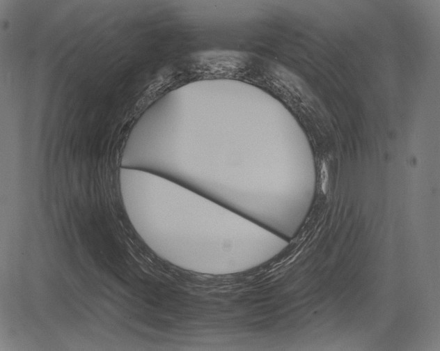 X0000085251395200703090935