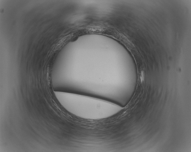 X0000085251396200703090936