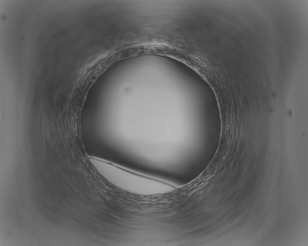 X0000085251398200703090936