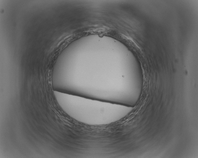 X0000085251399200703090936
