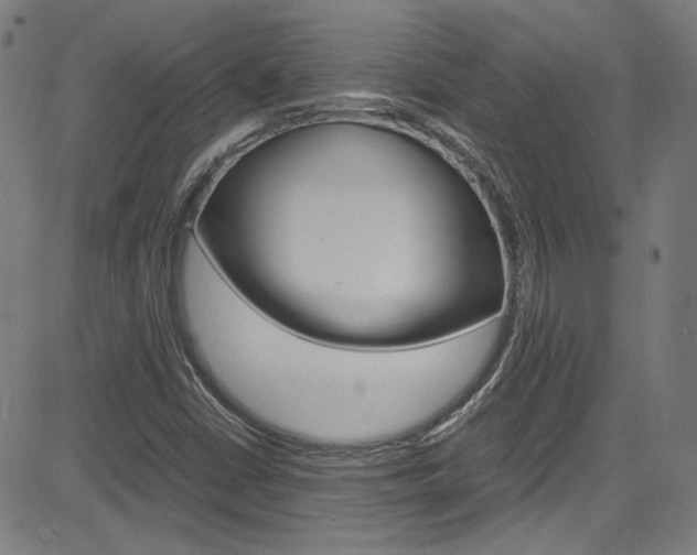 X0000085251402200703090936